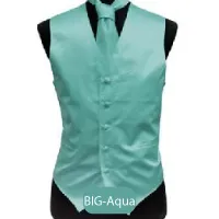 Big-Aqua Mens Solid Vest