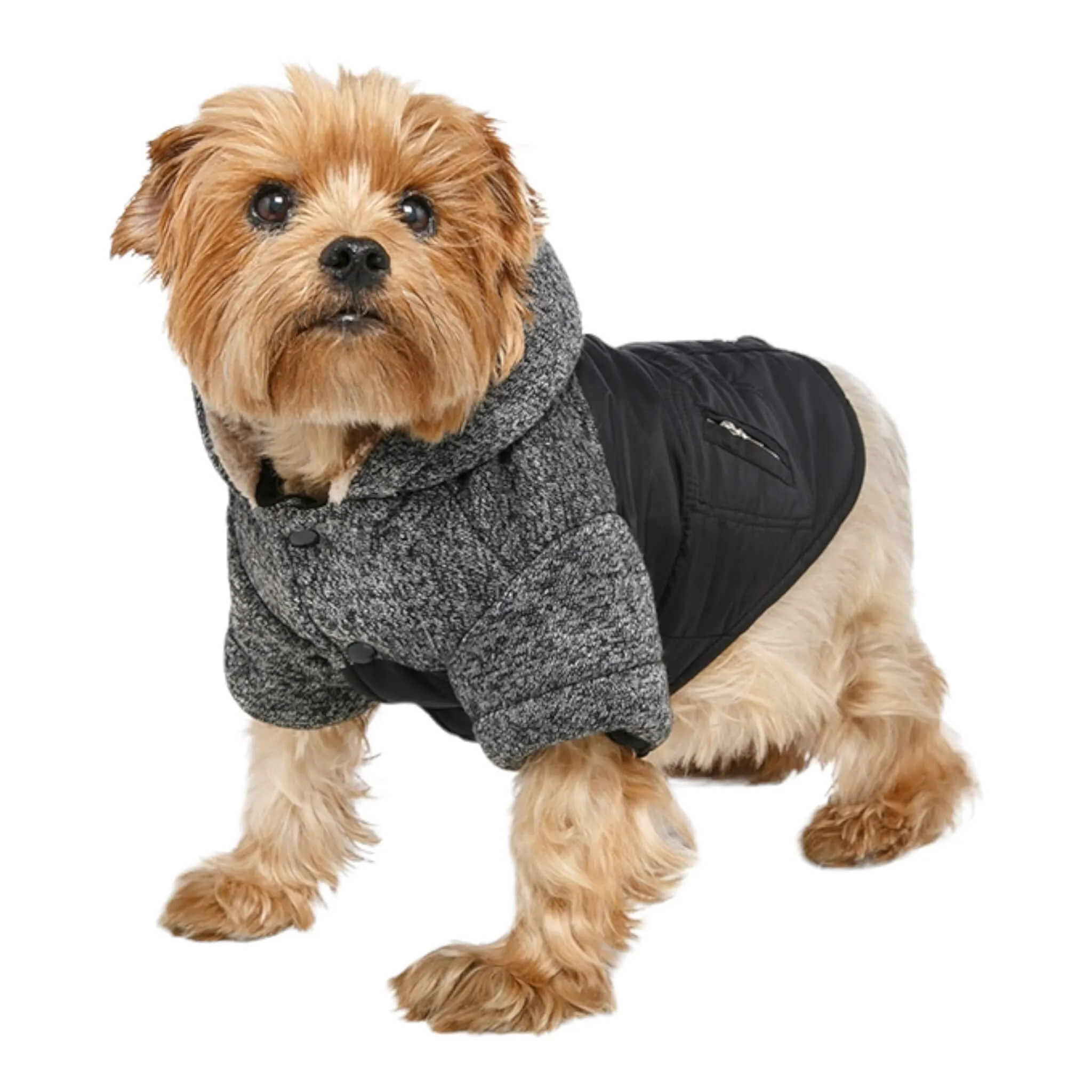 Cheviot Tweed Trimmed Dog Parka