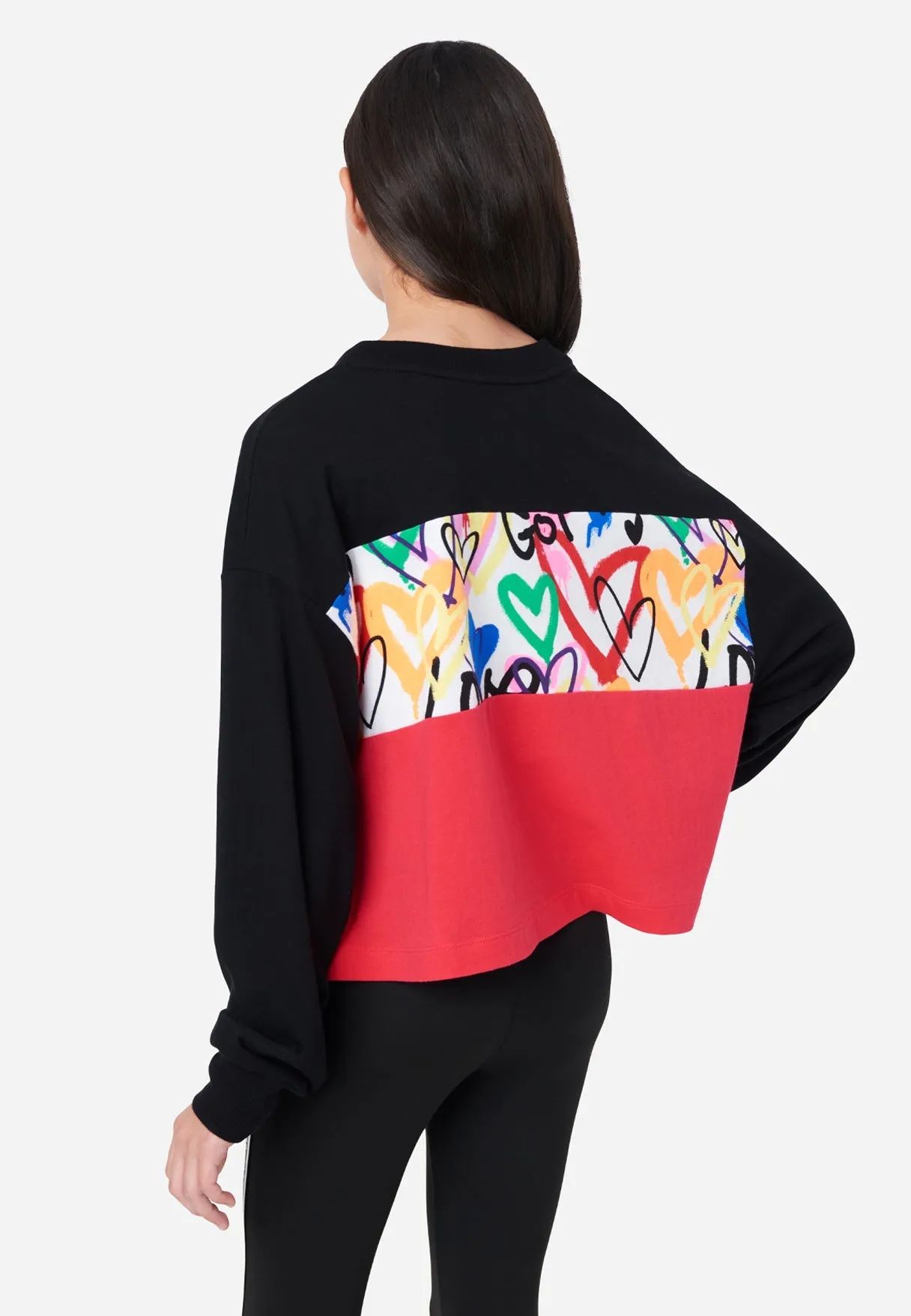 Color Block Crop Sweatshirt